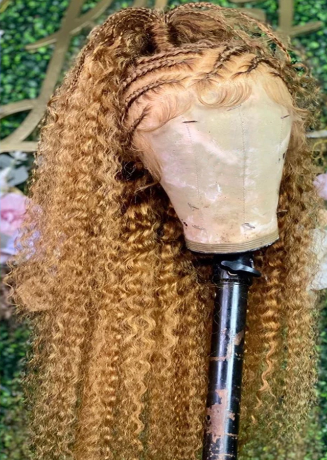 27 Colored Curly Full Lace Human Hair Wig 20inch Preplucked For Black Women