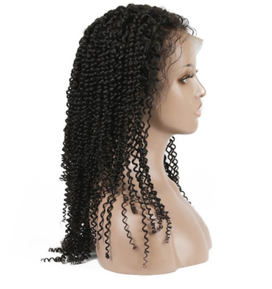 pre plucked full lace wigs