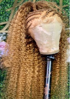 27 Colored Curly Full Lace Human Hair Wig 20inch Preplucked For Black Women