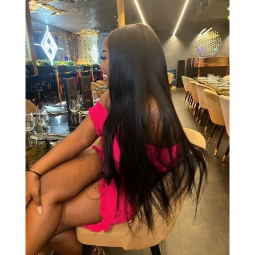 Premiumlacewig Wig - 100% Human Hair Wig