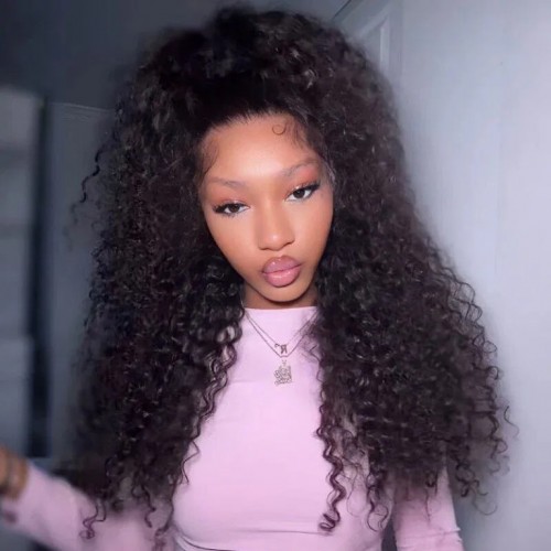 Premiumlacewig Wig - 100% Human Hair Wig