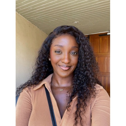 Premiumlacewig Wig - 100% Human Hair Wig