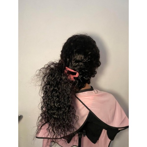 Premiumlacewig Wig - 100% Human Hair Wig