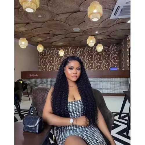 Premiumlacewig Wig - 100% Human Hair Wig